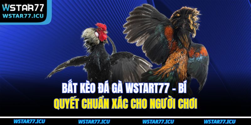 Bắt Kèo Đá Gà WSTART77