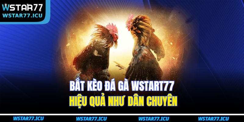 Bắt kèo đá gà WSTART77 hiệu quả như dân chuyên