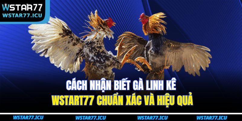 Cách Nhận Biết Gà Linh Kê