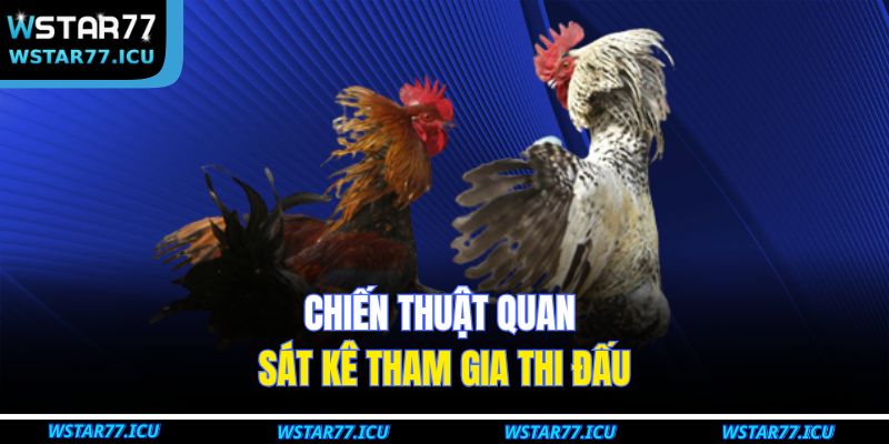 Chiến thuật quan sát kê tham gia thi đấu