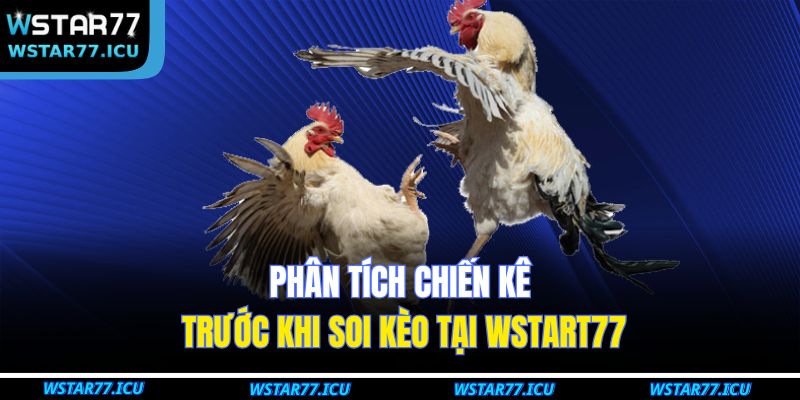 Phân tích chiến kê trước khi soi kèo tại WSTART77