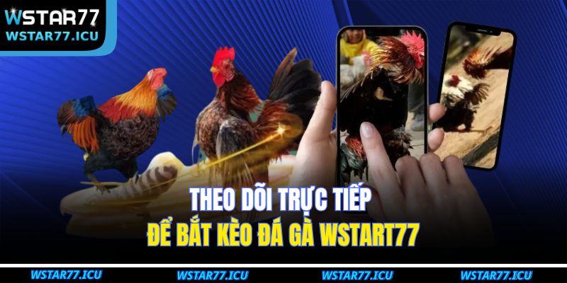 Theo dõi trực tiếp để bắt kèo đá gà WSTART77